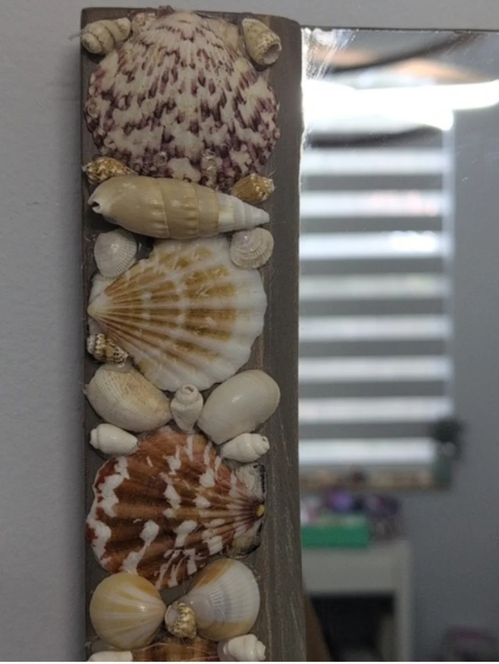 Shell Art Mirror, Seashell Art, Decorative Mirror, Home Decorl Seashells Coastal